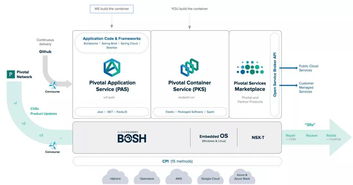 Pivotal 低调行业巨头缘何撑起硬核技术服务新时代？