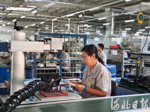 专精特新“小巨人”技术服务探访记——秦皇岛经济技术开发区见闻